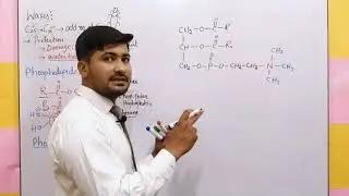 Waxes | Phospholipids | Terpenoids | Fsc biology book 1 | by irtisamsbiology