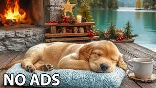 12 Hours Relaxing Music for Dogs 🎼 Dog Music to Help Dogs Stay Calm at Home 🌿 Dog Calming Music