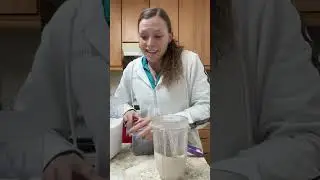 Making Chocolate Avocado Chia Seed Pudding!