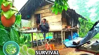 PONDOK TEMAN KU TERASA MAU AMBRUK SAAT DI TERJANG HUJAN BADAI @Mamang Meo #survival #petualanghutan