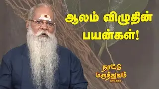 ஆலம் விழுதின் பயன்கள்! | Nattu Maruthuvam | Sun Life