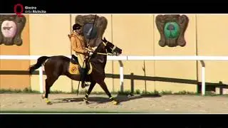 2017 - GIOSTRA della QUINTANA - Foligno (PG) - Parte 2/4 - 17-09-17