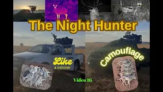 Secret to Close-Range HEADSHOTS? CAMOUFLAGE is key | Airgun Hunting Jackal in South African Nights