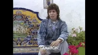 Camarón prepara 