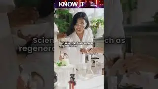 Можно ли продлить человеческую жизнь?