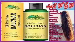 chiltan pure Balchar (Jatamansi) Oil | Effective For Alopecia