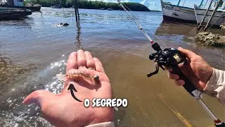 TESTEI NA PR&Aacute;TICA: VARA ASSAULT 1,68-4/12lbs PLUSFISH.
