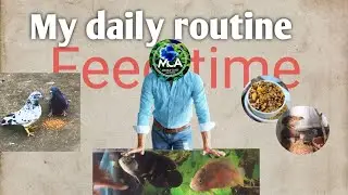 MY DAILY ROUTINE WITH MY PETS | feeding time | #vlog #pets #aquarium