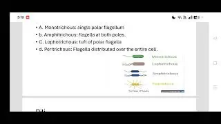 The third lecture of Bacteriology 