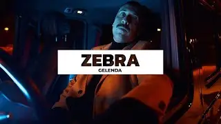 Zebra - Gelenda [Non Official Visualization] #Avi #Gelenda #MałyKsiążę