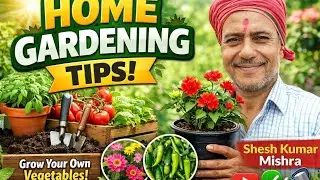 Home Gardening tips! 🌿🌳🌱 #gardening #viral #video #hype