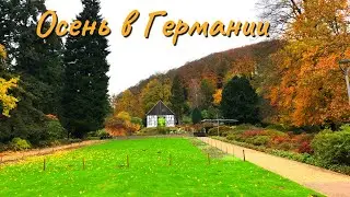 Осень в Германии, Билефельд ноябрь 2023г.