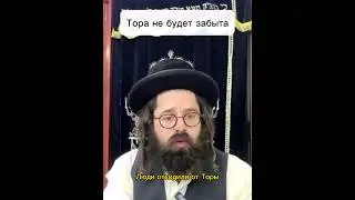 Тора не будет забыта #shorts #short #Тора #torah #бог #раввин #rabbi