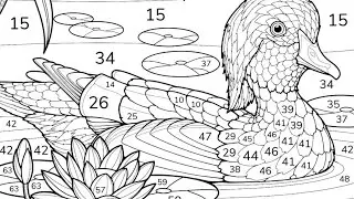 Mandarin duck swims peacefully in a pond surrounded by lotus flowers | Coloring Games