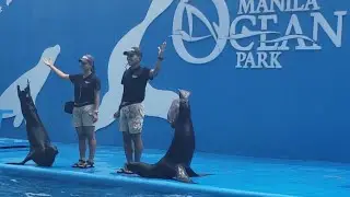 LET'S EXPLORE: Manila Ocean Park