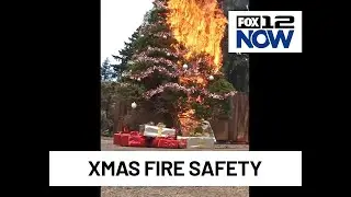 Christmas trees can burn in 60 seconds. Here's some tips to prevent that