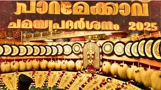 തൃശ്ശൂർ പൂരം ചമയ പ്രദർശനം #thrissurpooram #pooramvibes #visualvibes #longvideo #longfeed