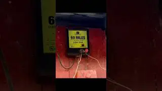 Electric fence tips and options #biggerthebetter #ground #options #cheap #diy #multipurpose #goats