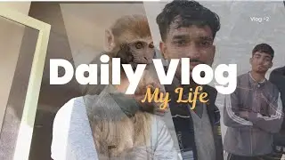 Daily Vlog 2 (Har jgh bander hi bander) 🐒