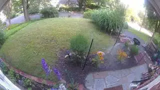 Orbit Yard enforcer REALLY WORKS. Deter Deer from your plants!