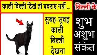 Cat ghar me billi ka bachcha denaकाली बिल्ली का बार बार घर में आना संकेत ! #jio Jiwan