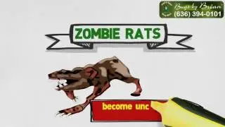 Bugs by Brian - Zombie Rats: Myth or Fact?