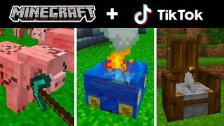Minecraft Tik Tok Compilation 11