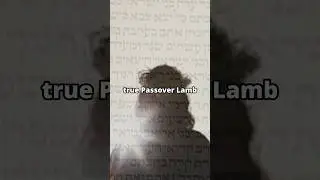 What is Passover? #bible #passover #lambofgod
