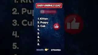 Guess The Baby Animal Names Before Time Runs Out!