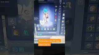 Pr&eacute;sentation du stuff Sacri Eau &ndash; Build efficace !