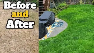 2025 Matthews Beach Fall Lawn Tune-Up | Clay Soil Fix with Lime, Soil Amendments & Wetting Agent