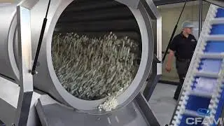 CFAM - Snack extrusion plant