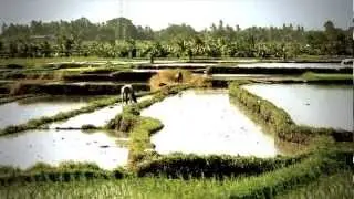 The Chillhouse - Bali Beautiful