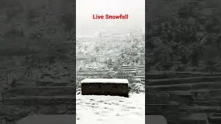 Snowfall Kalam swat ll #trending #snowfall #nature #subscribe #viralshorts #explore