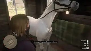 RDR2 horse flesh for dinner mission no commentary