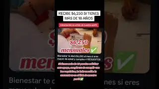 So cumples los requisitos puedes solicitar este apoyo de bienestar