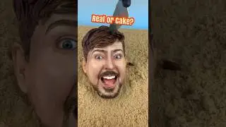 Real or cake? Mr Beast edition