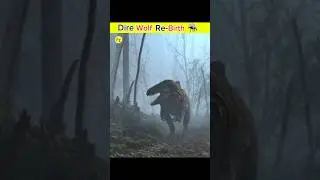 Dire Wolf Is Re-extint #facts #shorts
