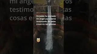 📖 Apocalipsis 22:16-17. B&iacute;blia, La Reina-Valera 1960 #shorts #biblevision