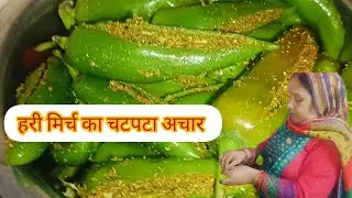हरी मिर्च का आचार एक बार मेरी तरीके से बना के देखो पुराने सारे तरीके भूल जाएंगे।#video #viral 