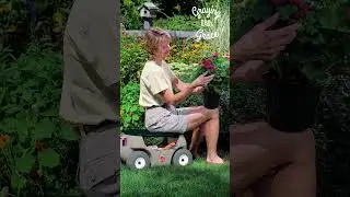 Using Garden Stools Safely: A Guide for Seniors