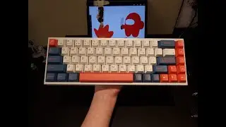 Tofu 65 - Lavender Switches Sound Test