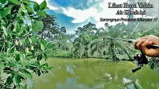 GAK DISANGKA !!! Air Keruh Sarangnya IKAN GABUS MONSTER | Mancing Casting Ikan Gabus