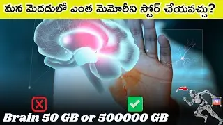 మన మెదడులో ఎంత మెమొరీని స్టోర్ చేయవచ్చు? ||How much Data a Human Brain Can Store? #telugufacts