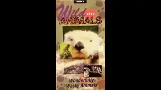 Wild About Animals Volume 3: Wonderfully Wacky Animals