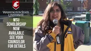 Bi-Weekly Bulletin  9-24 -  9-28th