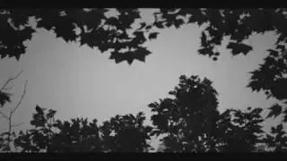 goya's lovebirds (compare, film school)