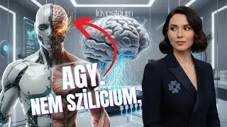 Élő számítógépek – amikor az emberi agysejtek tanulni kezdenek
