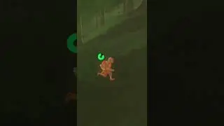 The Great Roman Legion Ambush but in BOTW