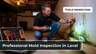 Professional Mold Inspection Services in Laval, Quebec